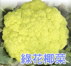 綠花椰菜種子