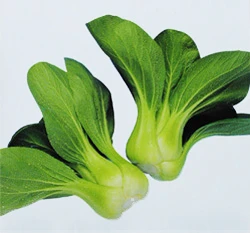 青梗白菜（青江菜、湯匙菜）種子