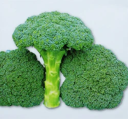 青花菜（綠色花椰菜）Broccoli種子