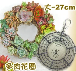 多肉花圈-鐵線花環(大)