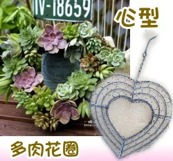 多肉花圈-鐵線花環(大-心型)