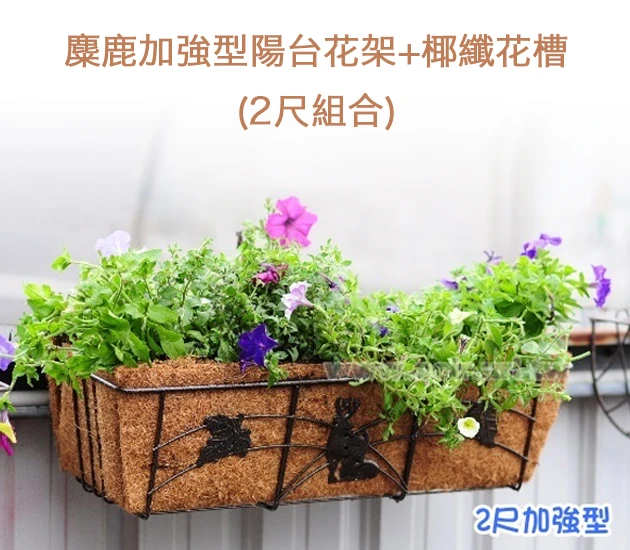 麋鹿加強型陽台花架+椰纖花槽(2尺組合)