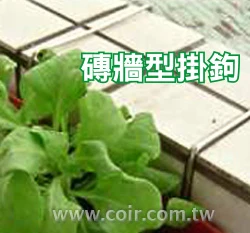 不銹鋼磚牆用掛鉤(15.5cm)