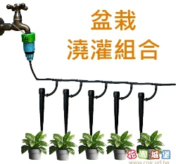 花盆澆灌組合（含快接）