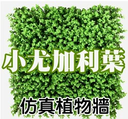 仿真植物牆 綠籬~小尤加利葉50cmx50cm