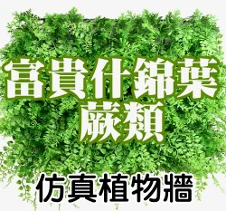 仿真植物牆~富貴什錦葉(蕨類)50cmx50cm