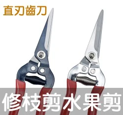 FIRST專業農用剪刀 直刃細齒防滑刀刃 修枝剪水果採收剪