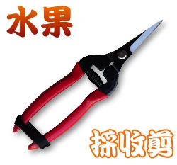 水果專用枝剪刀(紅)細齒防滑刀刃 修枝剪刀水果採收剪
