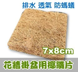 花牆掛盆用椰纖片(7x8cm) 方形盆用