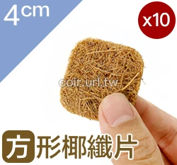 方形椰纖片(4x4cm) 椰纖墊片花盆網片