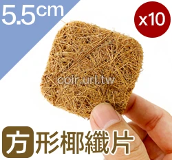 方形椰纖片(5.5x5.5cm) 椰纖墊片花盆網片