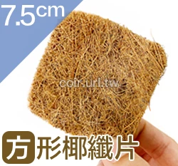 方形椰纖片(7.5x7.5cm) 椰纖墊片花盆網片