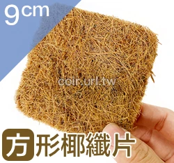方形椰纖片(9x9cm) 椰纖墊片花盆網片