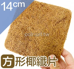 方形椰纖片(14x14cm) 椰纖墊片花盆網片