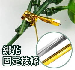 亮面萬用魔帶 園藝扎帶 30米/捲 附切斷器