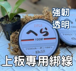 鹿角蕨上板專用綁線尼龍線100米/卷花園夢想家