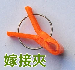瓜果專用嫁接夾(圓彈簧)－橘色