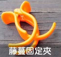台灣製藤蔓固定夾－特大51mm橘色