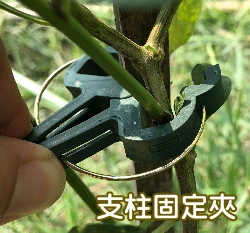 園藝多功能支柱固定夾-20入/組（大、小各10入）