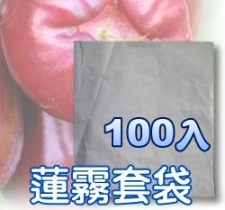 水果套袋含鐵絲（32x37.5cm）特大(枇杷文旦蓮霧袋)