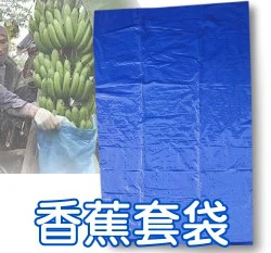 香蕉塑膠套袋（76x120cm）~10張入