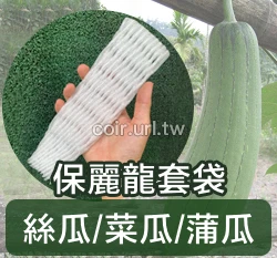 絲瓜 菜瓜.蒲瓜用保麗龍套袋（22cm）