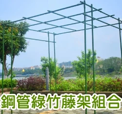園藝綠竹百香果支架 葡萄 苦瓜藤架