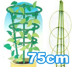 盆栽支架環-高75cm(三環) 月季花架