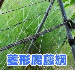 菱形爬藤網(6尺x100米)6寸孔目攀藤網