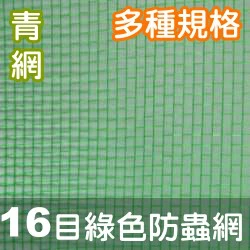 16目防蟲網(青網)-綠色