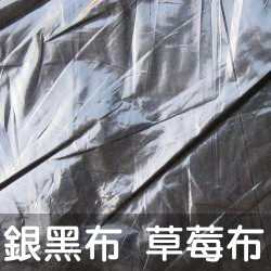 銀黑布(草莓布地膜防草布)(整捲長400公尺)