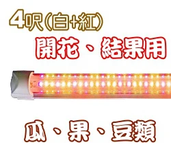 T8-LED燈管型~植物栽培燈(開花結果專用)20Ｗ白紅