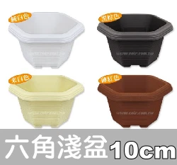 六角淺盆(9.6cm)小 高5cm
