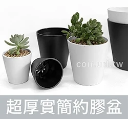 超厚實簡約黑膠盆 塊根盆