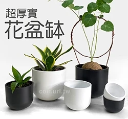 超厚實花盆缽 仿陶盆