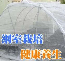 【栽培箱】大型網室組合DIY(8x8尺)D100