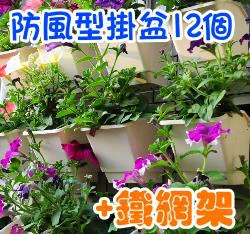 花牆網組合(防風型單掛盆x12個+萬用鐵網架x1個+椰纖片12片)