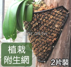 植栽附生網(2片裝含螺絲) 蘭花網植板鹿角蕨植板
