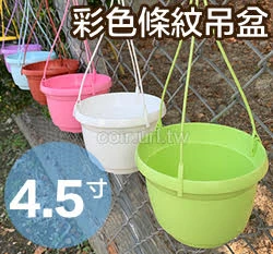 條紋4.5寸吊盆(含吊繩)-粉彩系列