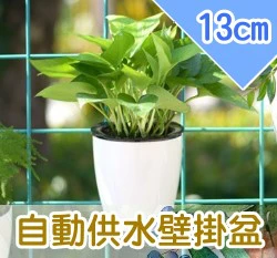 自動澆水壁掛花盆13cm（附棉繩）