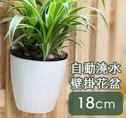 自動澆水壁掛花盆18cm（附棉繩）
