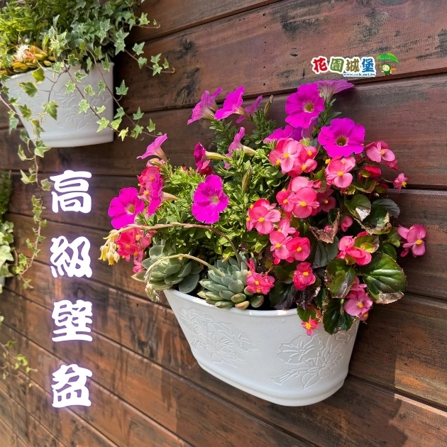 1尺(32cm)高級壁盆～附底網
