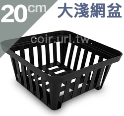 多用途淺網盆（大20cm）蕨類好盆