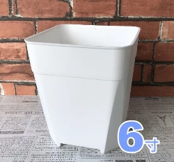 加高透氣四方盆「6寸」