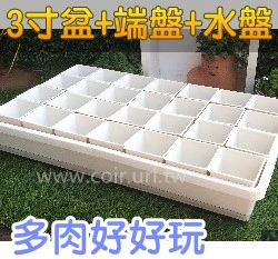 【超值組】整理端盤+透明水盤+3寸方盆育苗栽培組合