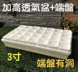 【超值組】整理端盤+白色3寸多肉堡加高透氣四方盆組合
