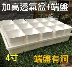 【超值組】整理端盤+白色4寸多肉堡加高透氣四方盆組合