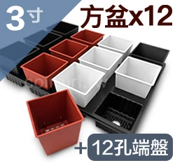 【超值組】12個x3寸方型栽培盆(厚)+專用整理端盤12格