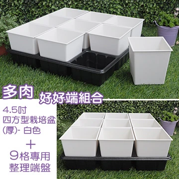 【超值組】9個x4.5寸方型栽培盆(厚)+專用整理端盤9格