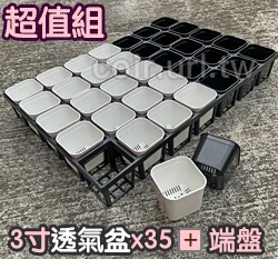 【超值組】35個x多肉堡透氣四方盆「3寸」＋35方孔端盤